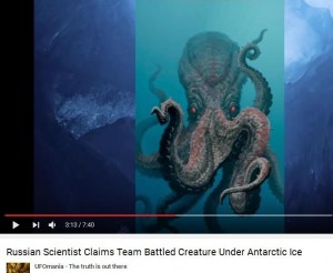 antarktyda-octopus