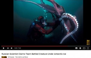 antarktyda-octopus-human